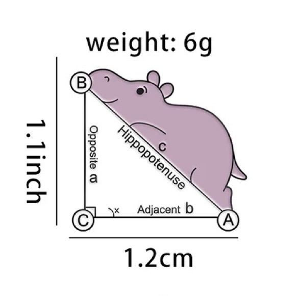 1 LEFT‼️ Math Hippo Enamel Pin Punny Hippopotamus Badge Geometry Student Joke - Picture 3 of 6